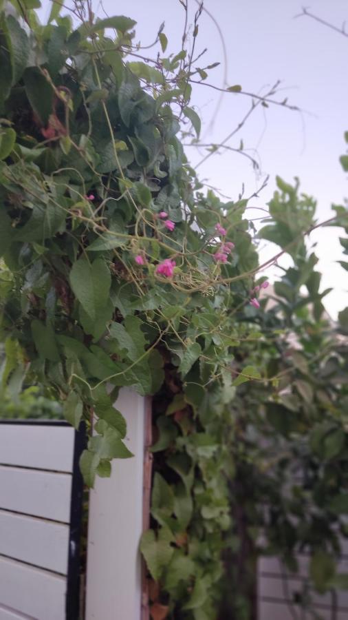 Apartamento Ester's Place Eilat